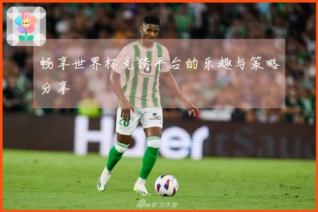 畅享世界杯竞猜平台的乐趣与策略分享