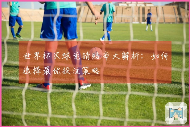 世界杯买球竞猜赔率大解析：如何选择最优投注策略