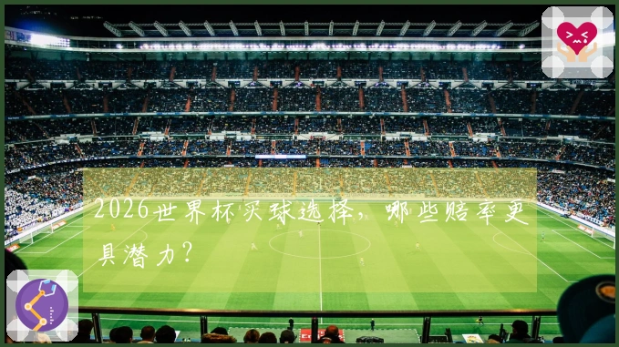 2026世界杯买球选择，哪些赔率更具潜力？