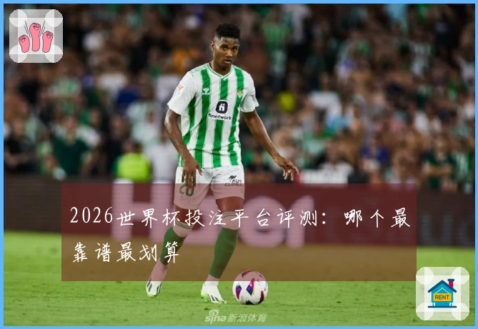 2026世界杯投注平台评测：哪个最靠谱最划算