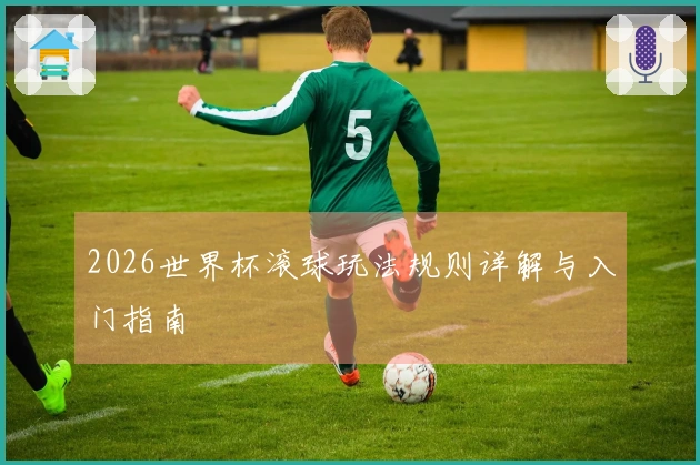 2026世界杯滚球玩法规则详解与入门指南