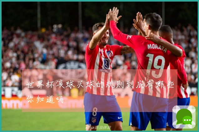 世界杯滚球买球的规则到底有哪些你知道吗