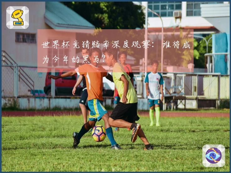 世界杯竞猜赔率深度观察：谁将成为今年的黑马？