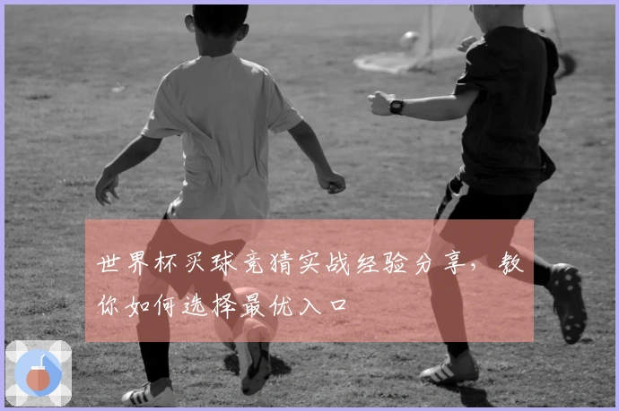 世界杯买球竞猜实战经验分享，教你如何选择最优入口