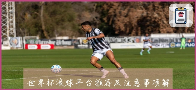 世界杯滚球平台推荐及注意事项解析
