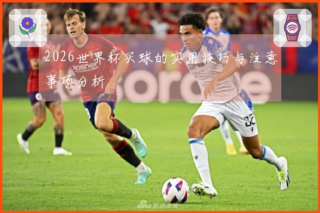2026世界杯买球的实用技巧与注意事项分析