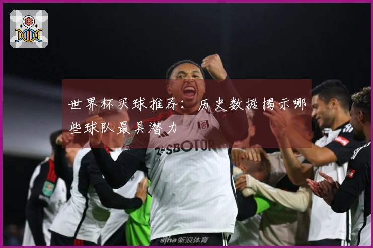 世界杯买球推荐：历史数据揭示哪些球队最具潜力